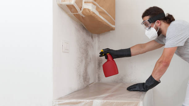 Professional Mold Remediation technician working in Bardonia, NY