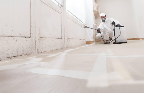 24/7 Emergency Mold Remediation experts in Bardonia, NY